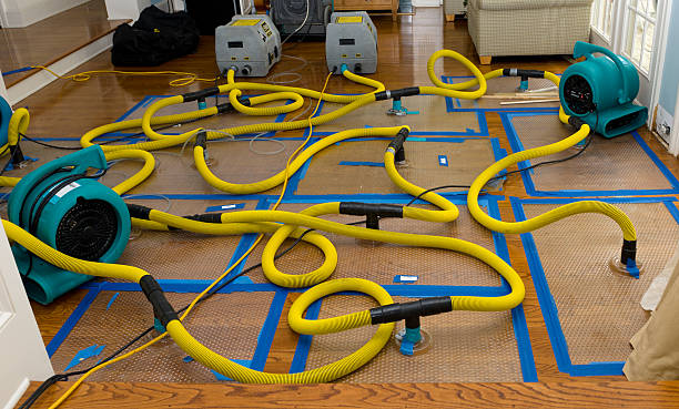 Professional Burst Pipe Water Damage technician working in Stanley, WI